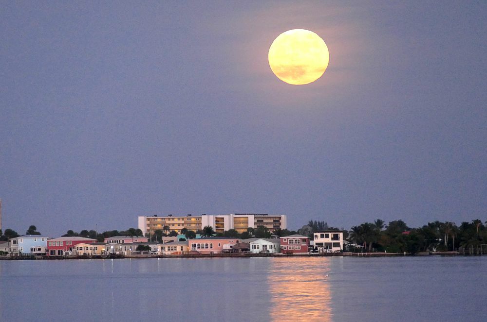 Click to See Next Image